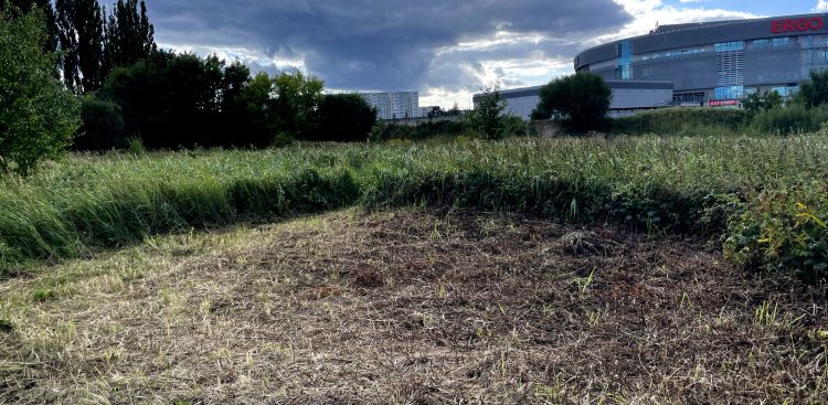Zdaniem mieszkańców Runmageddon doprowadził do zniszczeń roślinności