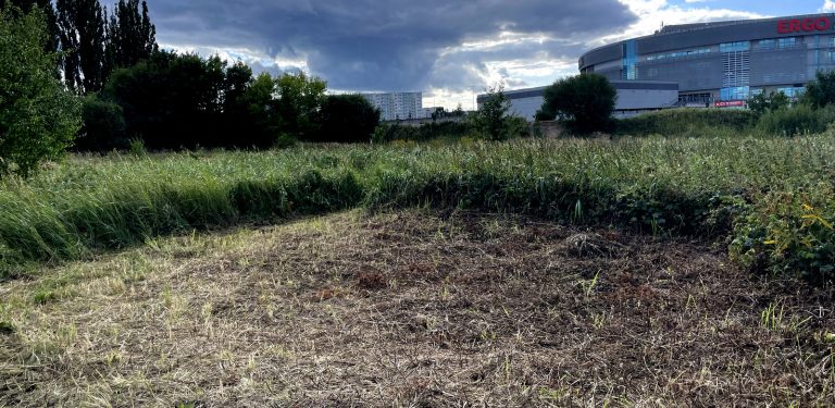 Zdaniem mieszkańców Runmageddon doprowadził do zniszczeń roślinności