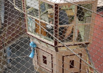 Widok z góry przez gęstą, metalową siatkę zabezpieczającą na przeszklony posterunek strażnika na terenie Zakładu Karnego w Sztumie. Zgodnie z nowym porozumieniem z władzami Malborka, osadzeni ze sztumskiej jednostki będą mogli pomagać miastu w usuwaniu skutków nawałnic i w sytuacjach kryzysowych