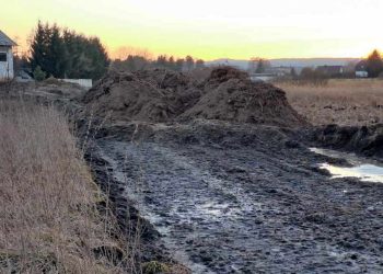 Teren bagienny w centrum wsi Charzykowy między ulicami Długą, Ustronną i Wąską