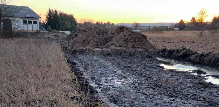 Teren bagienny w centrum wsi Charzykowy między ulicami Długą, Ustronną i Wąską