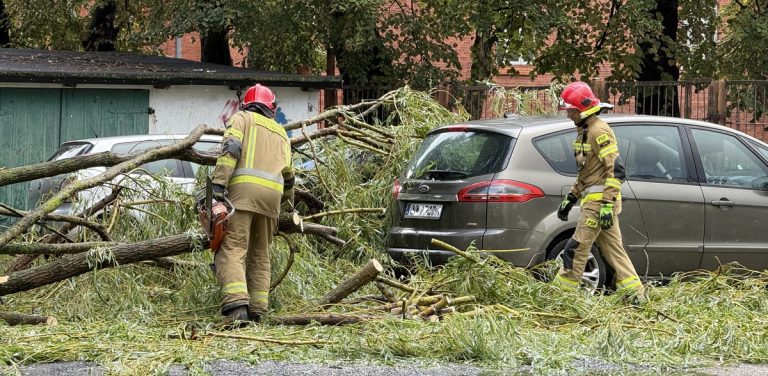 Na zdjęciu strażacy usuwają drzewo, które spadło na samochody