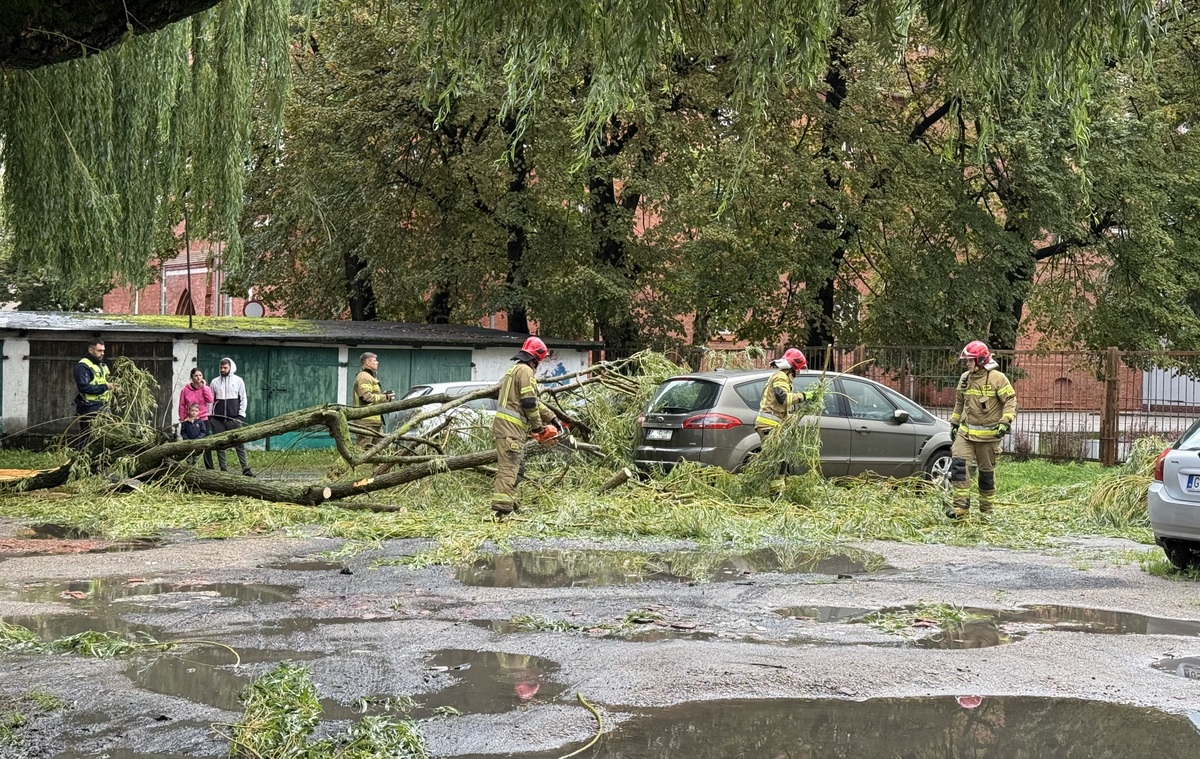 Na zdjęciu strażacy usuwają drzewo, które spadło na samochody