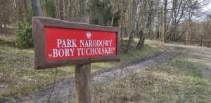 Znak informujący o wejściu do Borów Tucholskich