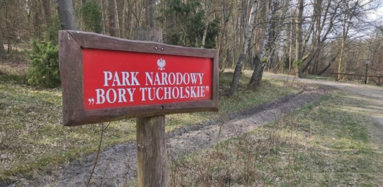 Znak informujący o wejściu do Borów Tucholskich