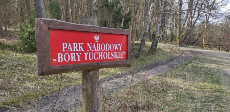 Znak informujący o wejściu do Borów Tucholskich