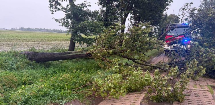 Burza przesuwa się z północnego zachodu
