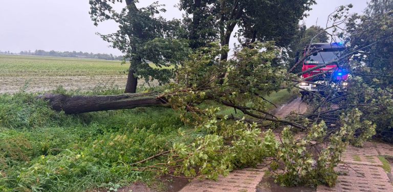 Burza przesuwa się z północnego zachodu