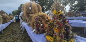 Na zdjęciu stojące na stołach wieńce, które brały udział w konkursie Powiatowo-Gminnego Święta Plonów