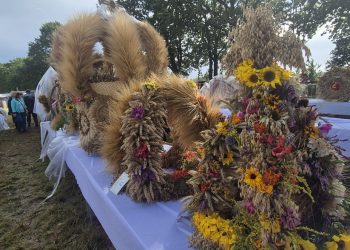 Na zdjęciu stojące na stołach wieńce, które brały udział w konkursie Powiatowo-Gminnego Święta Plonów