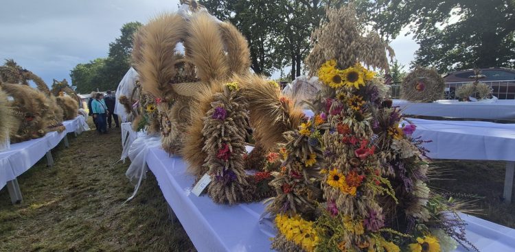 Na zdjęciu stojące na stołach wieńce, które brały udział w konkursie Powiatowo-Gminnego Święta Plonów