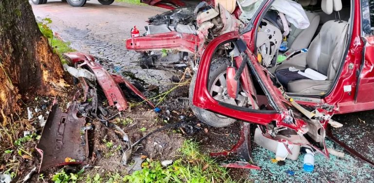 W miejscowości Pobłocie samochód osobowy uderzył w drzewo