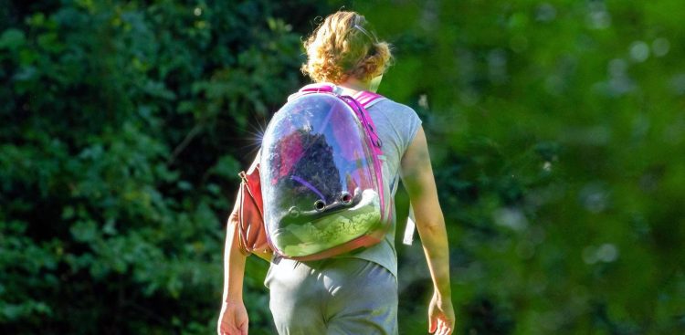 Nastolatka widziana od tyłu, idąca w otoczeniu zieleni, niosąca różowy plecak z przezroczystą plastikową kopułą (kapsułę transportową). Zdjęcie jest ilustracją do debaty na temat tego, czy dzieci powinny się usamodzielniać, samemu chodzić do szkoły. Gdynia rozpoczyna serię debat m.in. na ten temat
