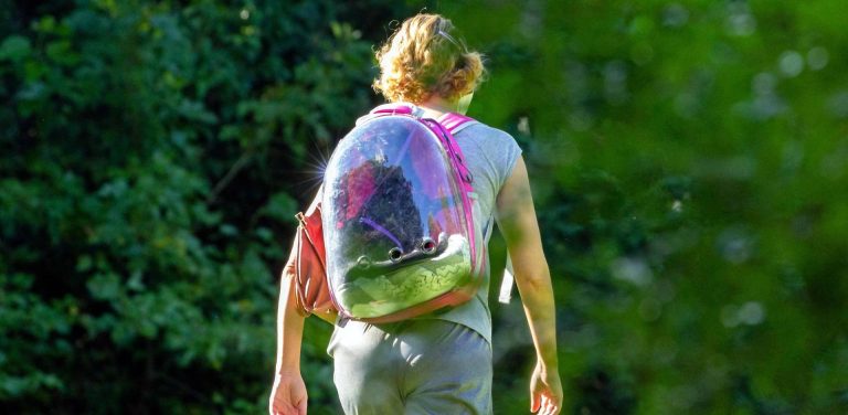 Nastolatka widziana od tyłu, idąca w otoczeniu zieleni, niosąca różowy plecak z przezroczystą plastikową kopułą (kapsułę transportową). Zdjęcie jest ilustracją do debaty na temat tego, czy dzieci powinny się usamodzielniać, samemu chodzić do szkoły. Gdynia rozpoczyna serię debat m.in. na ten temat
