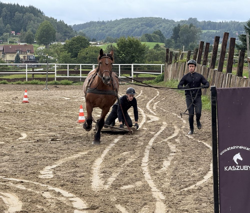 (fot. Radio Gdańsk/Robert Groth)