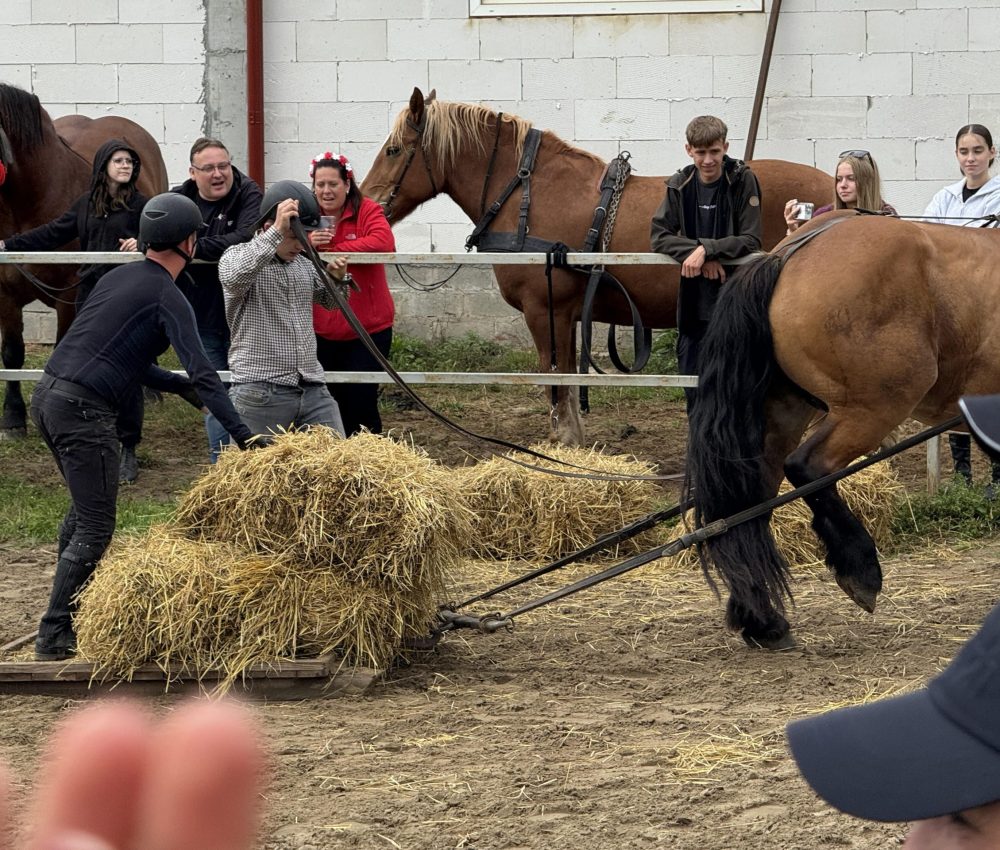 (fot. Radio Gdańsk/Robert Groth)