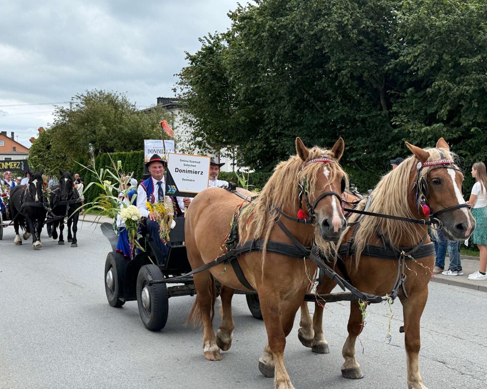 (fot. Radio Gdańsk/Robert Groth)