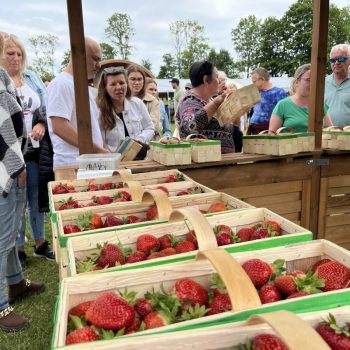 9. Festiwal Truskawek Kaszubskich (fot. Radio Gdańsk/Robert Groth)