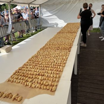 9. Festiwal Truskawek Kaszubskich (fot. Radio Gdańsk/Robert Groth)