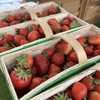 9. Festiwal Truskawek Kaszubskich (fot. Radio Gdańsk/Robert Groth)