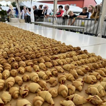 9. Festiwal Truskawek Kaszubskich (fot. Radio Gdańsk/Robert Groth)