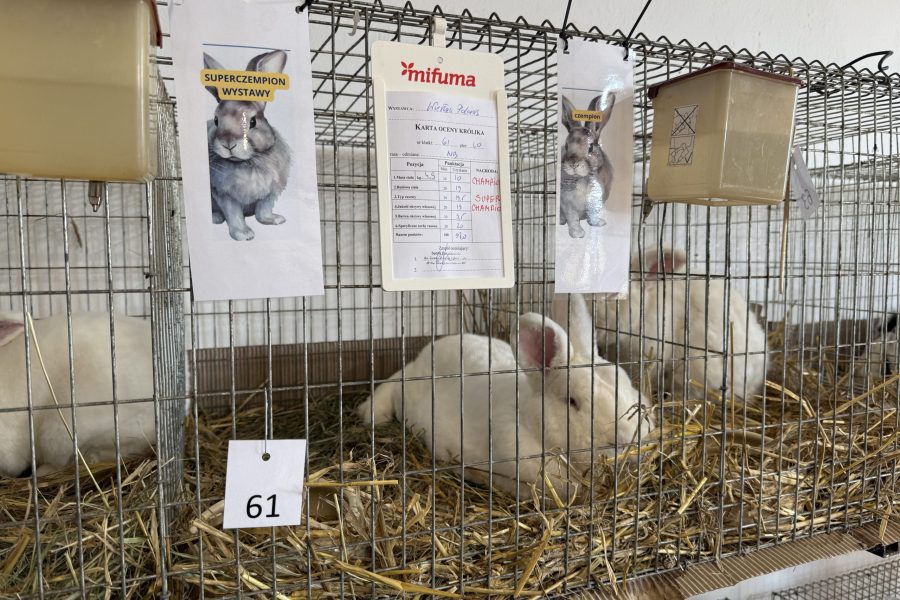 (fot. Radio Gdańsk/Robert Groth)