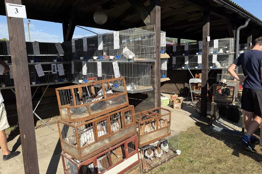 (fot. Radio Gdańsk/Robert Groth)